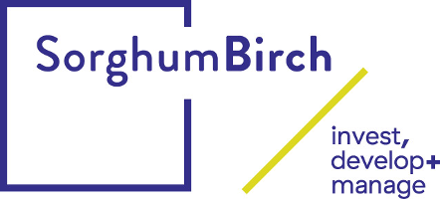 Sorghum Birch